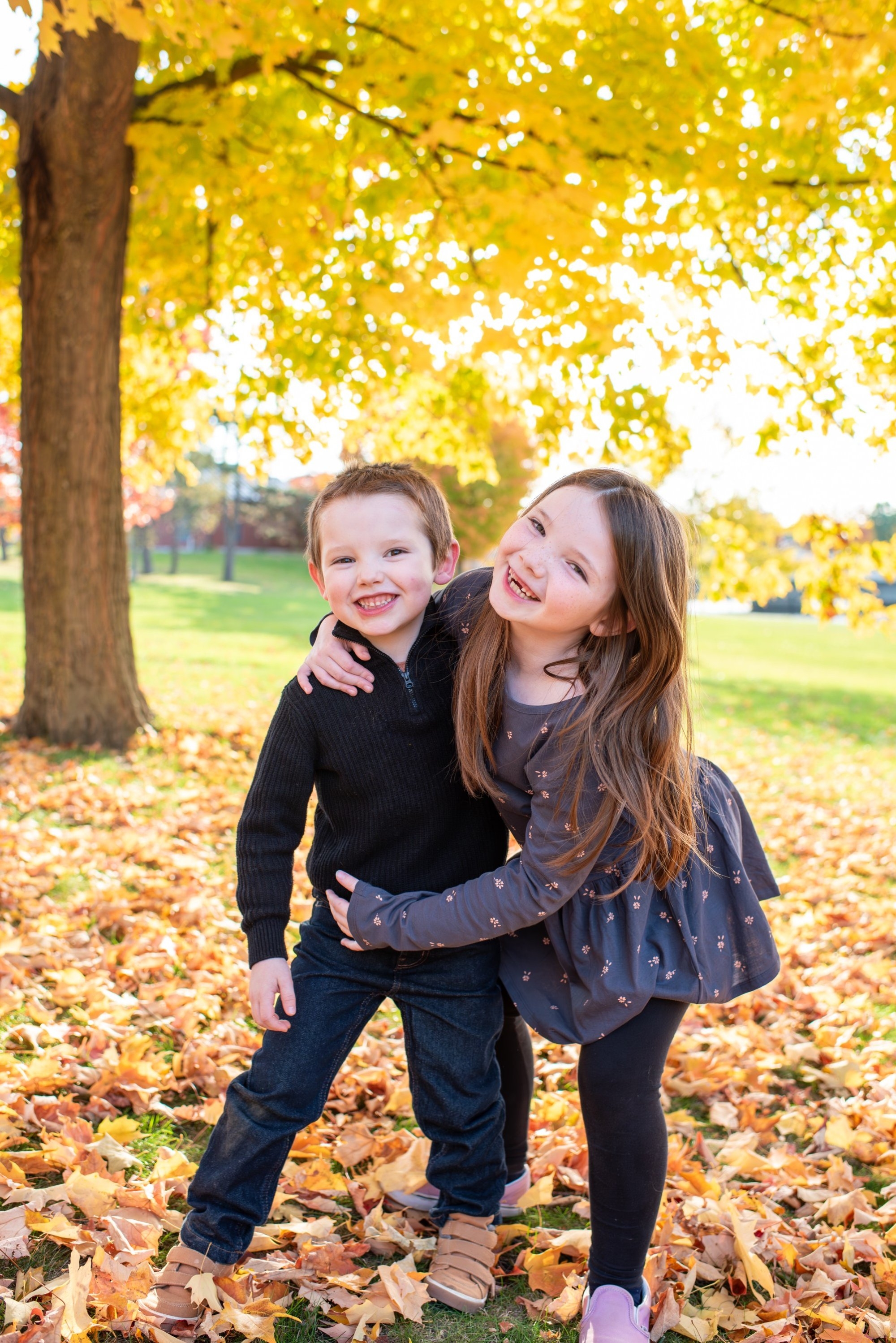 carousel-hero-element image-1