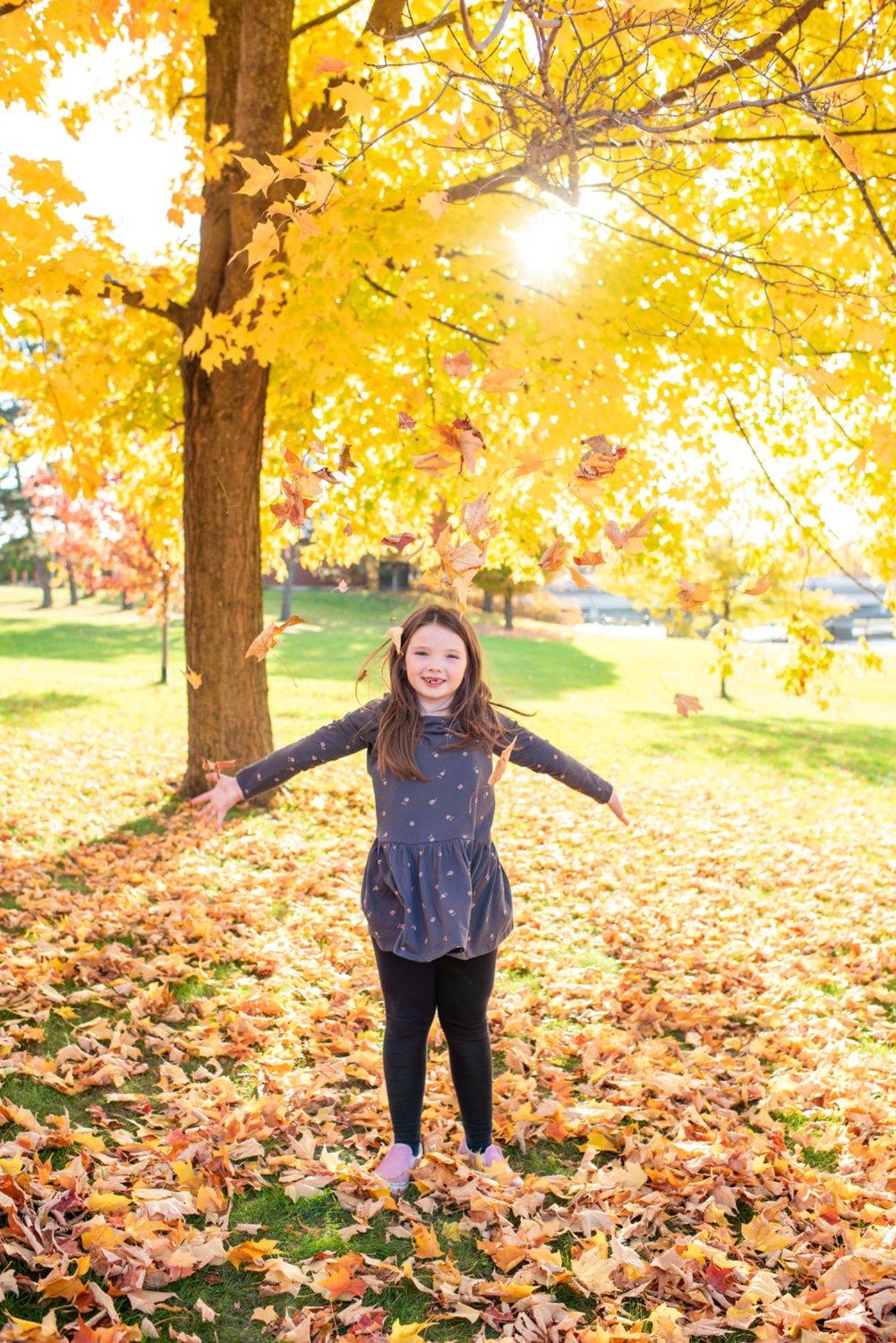 carousel-hero-element image-2